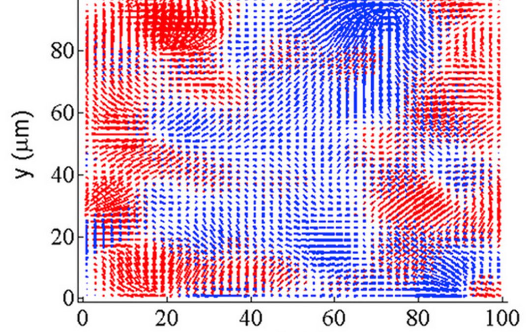 Inference of Internal Stress in a Cell Monolayer