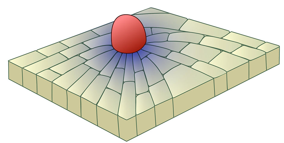 Topological defects in epithelia govern cell death and extrusion