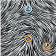 Biological Tissues as Active Nematic Liquid Crystals